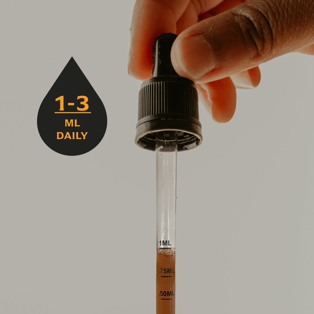 Cordyceps Supplement
