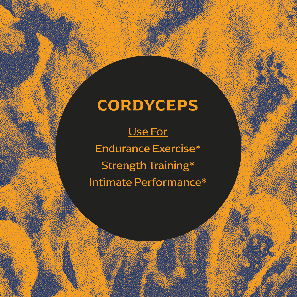 Cordyceps Supplement